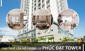 cho-thue-phuc-dat-connect-2